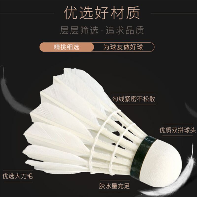 19c655b0-f324-4682-a405-4c9699ac7083.jpe