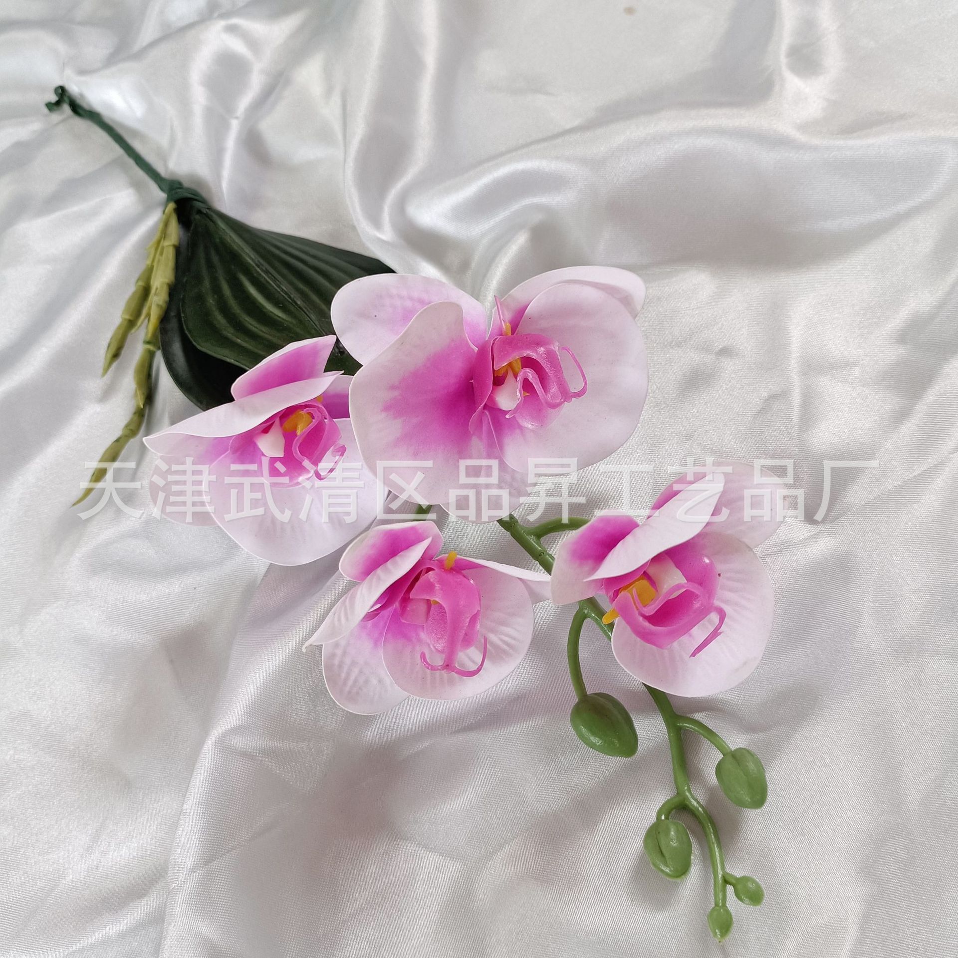 7cc4e46c6ea612519e09dd5fc5a0cc