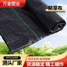 @ݲ@ֲݲ҃ȳݲɫϻpeGֲ