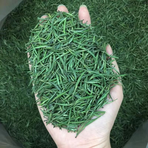 2024 Pre-Qingming New Green Tea, Straight Maojian, Rich Aroma, Long-Steeping, Emerald Tips, Qiaotong, Uniform White Hair Maojian, Qu Bo, E-commerce Supply