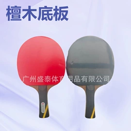 乒乓球拍;乒乓球网;乒乓球