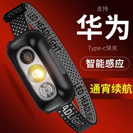 手电筒;头灯头戴电筒;野营/露营灯