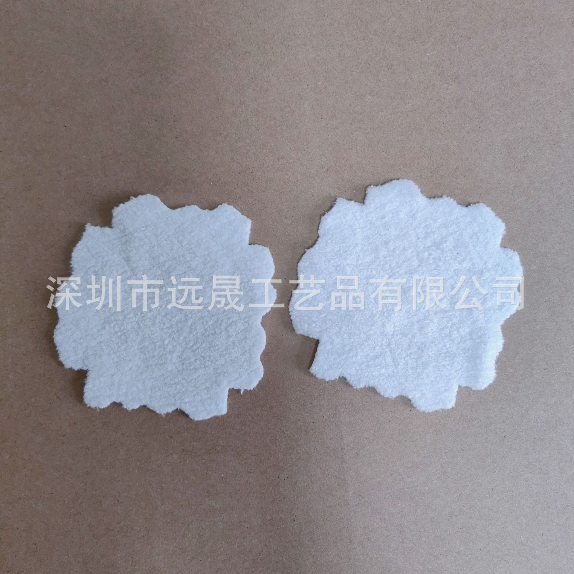 B612Kaji_20240804_131952_239