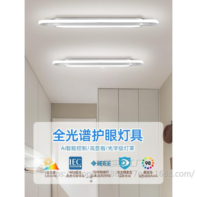 新款过道灯走廊长条灯吸顶灯入户玄关阳台灯网红衣帽间长方形灯具