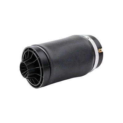 A2513200425 Rear Air Spring Suspension and Shock Absorber Systems