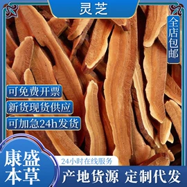 其他药食同源;灵芝;其他滋补