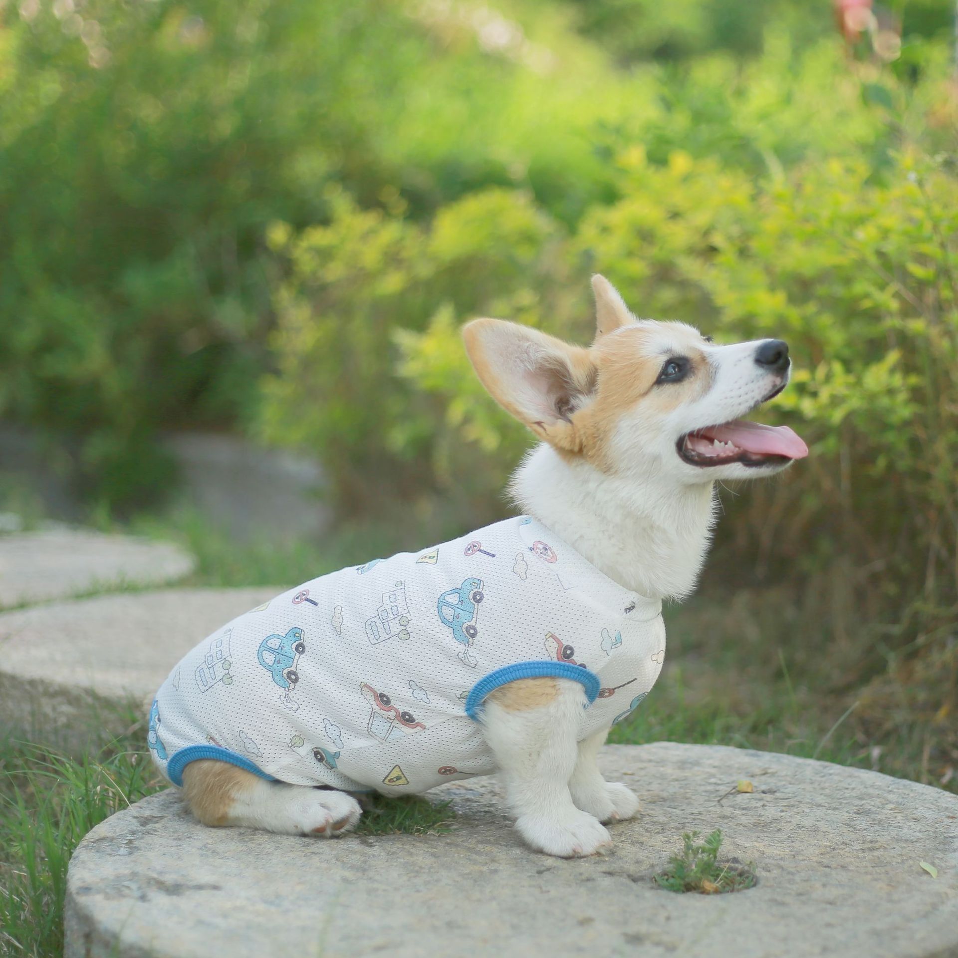 개 조끼 여름 얇은 네 다리 조끼 애완 동물 코기 안티 린트 곰 통기성 파자마 선 스크린 홈 옷