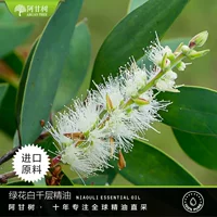 Форрест Гамп Зеленый цветок Эфирное масло Melaleuca Ниаули одностороннее эфирное масло оптом Melaleuca quinquener