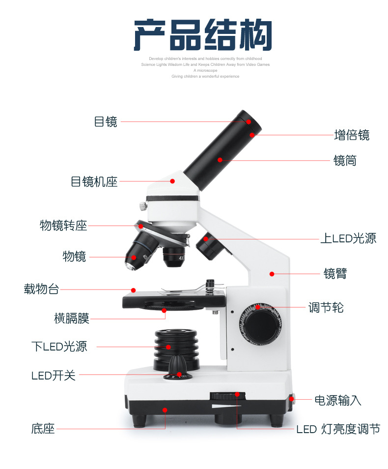 MY-XWJ0004显微镜详情2_03.jpg