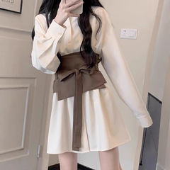 长袖衬衫裙子2025新款女装春秋季法式气质显瘦小个子冬季连衣裙子