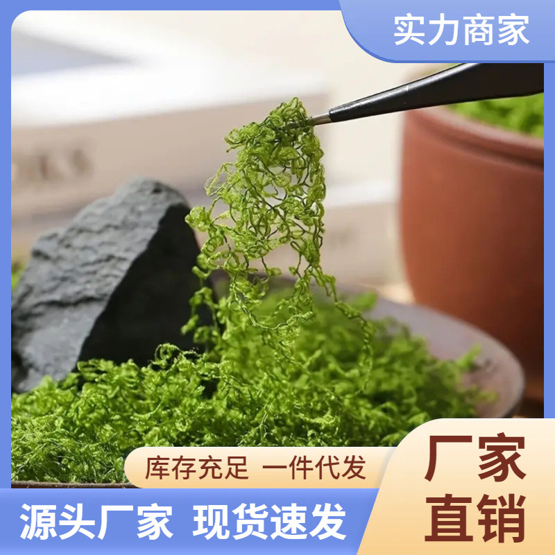 厂家直销苔藓批发地摊好货100克装厂家批发仿真苔藓绿植永生苔藓