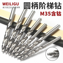 ��ʽ�A�����黨��^m35�����荶๦��ä���_��m2m4m5m6m8m10m13