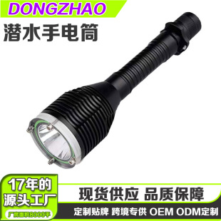 ���R�d�¿�T40���❓ˮ���Ͳ ˮꑃ��ö���IPX8���I��ˮ�����Ͳ