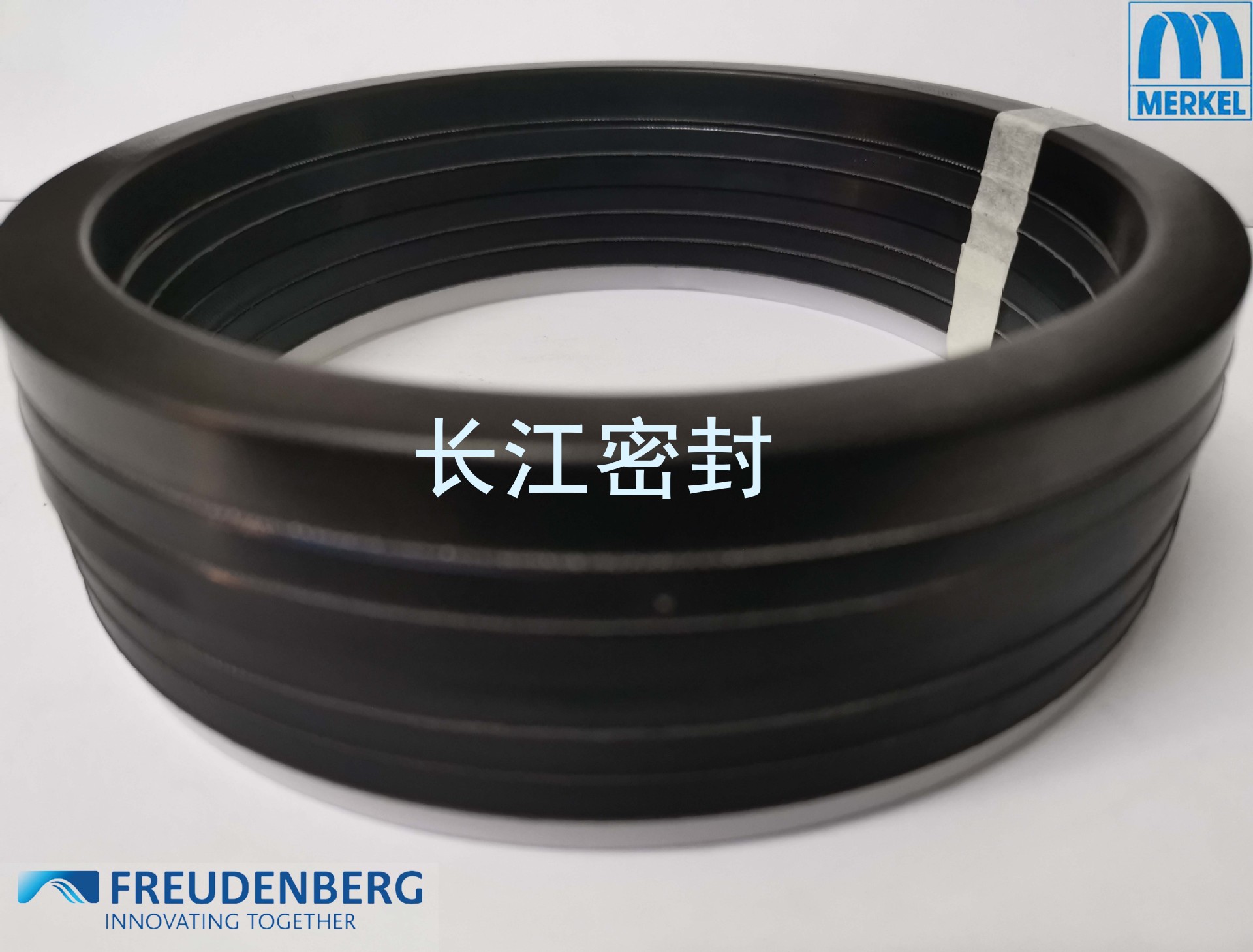 MERKEL FREUDENBERG DMST 1171 270-300-15 580-620-80油缸组合封