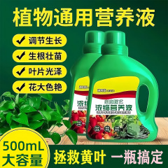 植物营养液通用型花肥盆栽发财树绿萝富贵竹水培花卉绿植肥料室内