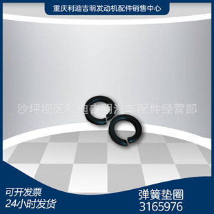 k19 k38�l늙C�M��� Nt855 �l�әC��� ���ɉ|Ȧ3165976