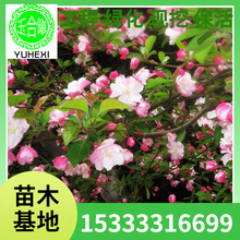 �������� �������� ���z���� ����ֱ�l�G����ľ Ҏ���Rȫ����r��