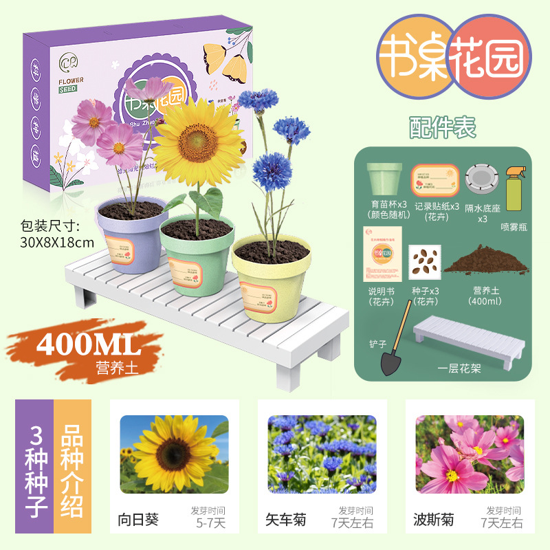 Planta de mesa para niños mini plantas verdes creativas pequeñas plantas de fresa girasol al por mayor