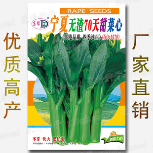 ���ğo��70������ķN�� ����ķN�� �ļ� ���� ��ѿ ��� ���в�