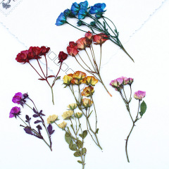 多頭小薔薇薔薇花月薇乾花エンボススタンド植物標本滴糊押花ブックマークフォトフレーム材料