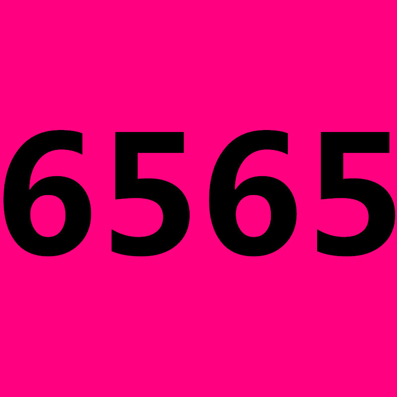 6565