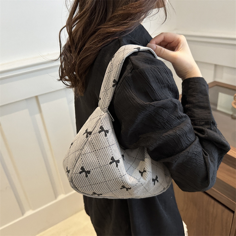 Bolsos de tela de lámpara de mujer 2024 nuevo bolso de hombro pequeño Zhongzhong alto valor de cara bolso de mano universal