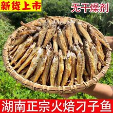 湖南火焙鱼子鱼烟熏干货手撕鱼东江鱼干淡水鱼柴火散装淡干
