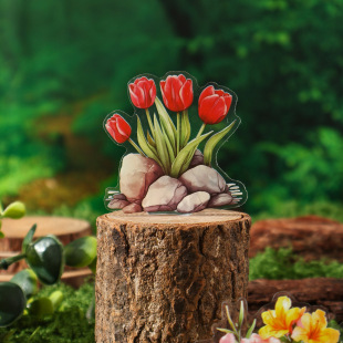 羳ZABCN qAϵ 쾰~DIYزbN406