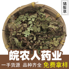 �i�ײ�500g�F����ˮ�ië���ië���F�z���F������ș�Ĵ�ȫ���l���l