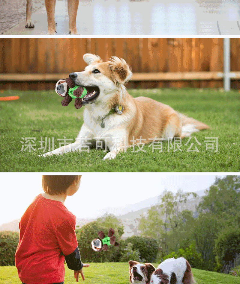 树懒详情页_09