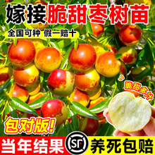 �������󗗳����������ϱ���մ��������䰫���޽��糬���ش�̖