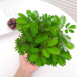 ���߲�Ȥζֲ��С�����҃��̨���B���׃��@��ͯ���ܾGֲ�ļ�����