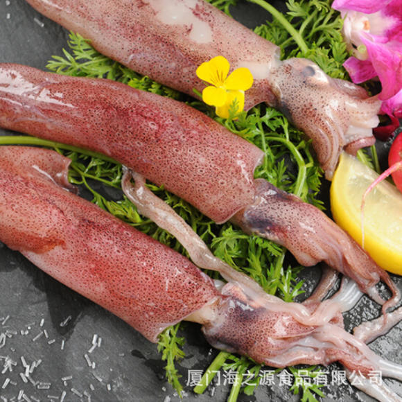 冷冻大鱿鱼尤鱼整只海捕船冻烧烤铁板海鲜水产批发