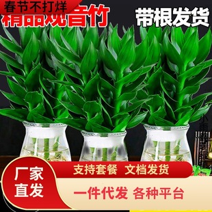 һ�����l�^�����F�D�\��ˮ������������ؔ�Gֲ��G�}�j�k���҃�