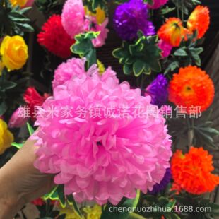 15����5�ӟ����ջ�� 朗l����Ĺ���������������\�Z������Ʒ���l
