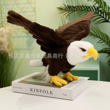 ���R�d�羳��Ʒ������^��ë�q��߰��^��������ż�B���[��