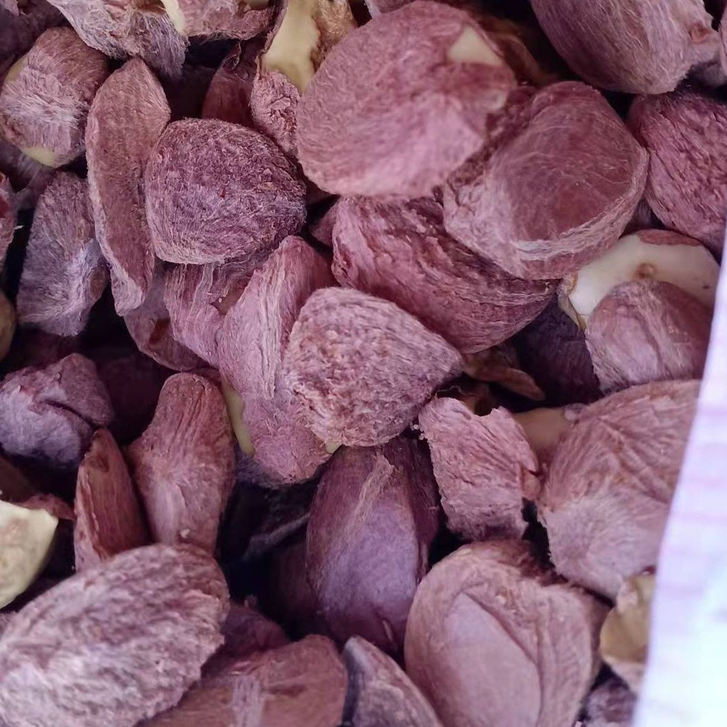 特产地茶籽批发江西高山茶油压榨木本油料天然油茶籽油干油茶籽仁