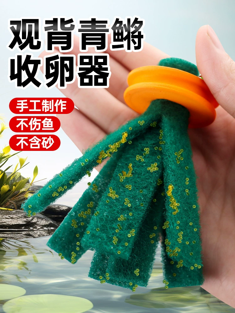 Плавающий сборщик рыбьих икр для наблюдения за спинным плавником медаки, специальный инструмент для сбора рыбьих икр, доступен в нескольких цветах, полностью ручной работы.