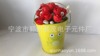 Creative iron barrel storage bucket flower arrangement barrel printing cartoon pattern Little frog color style can be designed