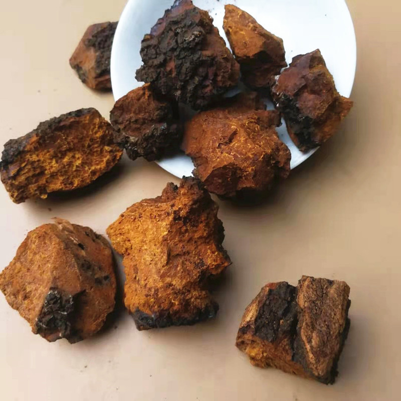 Chaga Mushroom Bulk Dried Sclerotia Huashurong Inonotus obliquus for Tea and Decoction 500g quality and texture
