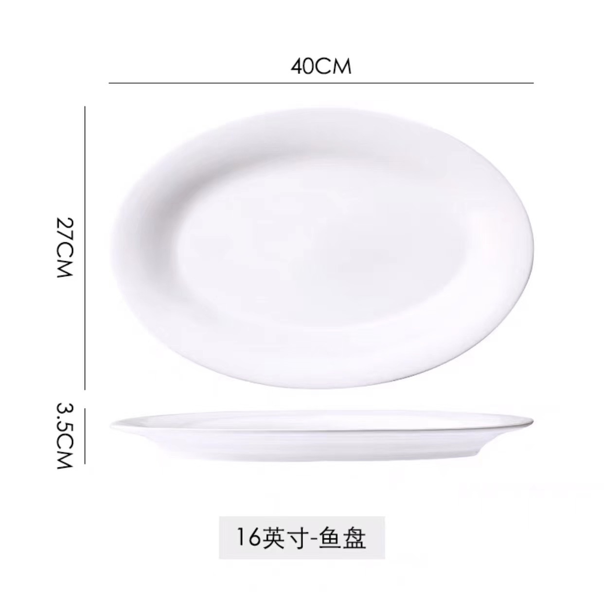 16 인치 생선 접시