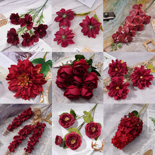 �Ƽtɫϵ���ķ��滨��c�bƵ�·���bٻ��tɫĪ�λ��@֮��