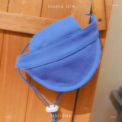 Pet clothes for dogs and cats, new spring and summer skirts, vest-style harness, traction clothing, dog leash for outings
