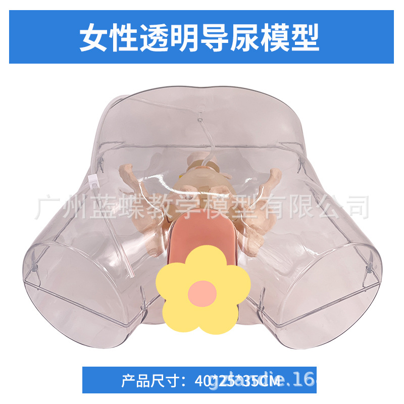 ��Ů��������ֳ�����ʵ���ֱ����ϰģ�ͽ�ѧ��������������ֳϵͳ