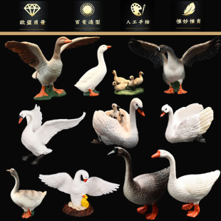 ���ķ������ģ�����b������� ���Z ���Z �Z ��������J֪ �Y��