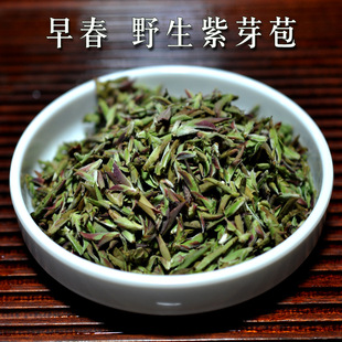 �ն��������ѩɽҰ����ѿ����ǰ�紺��500��ɢ��