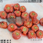 万圣节小南瓜干花巴西进口天然植物圣诞节日装扮干果实家居装饰