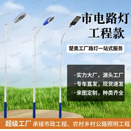道路照明灯;庭院灯;草坪灯