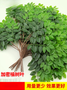 ~Ϙ֦G~쾰ֲ҃ȾGb٘ܘ~