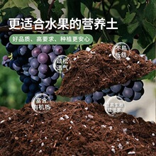 ���ָ̌������㙴ͨ���͹���Nֲ����͸����̿��ֲ���B���I�B��